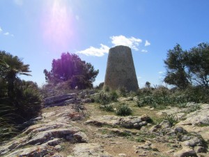 IMG_4478 (Medium)